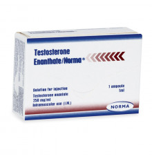 Testosterone Enanthate 250 mg Norma Hellas