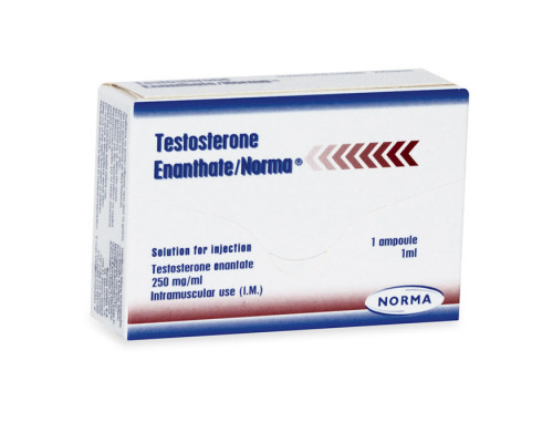 Testosterone Enanthate 250 mg Norma Hellas