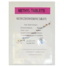 Methyl Tablets 25mg British Dragon