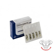 Aburaihan Testosteron Enanthate 250 mg 10 Ampullen