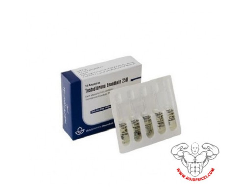 Aburaihan Testosteron Enanthate 250 mg 10 Ampullen