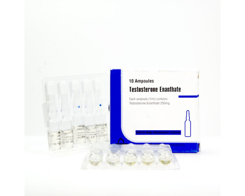 Testosterone Enantate 250 mg Aburaihan