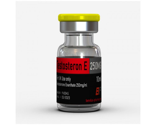 Benelux Pharma Testosteron Enantat 250mg 10ml