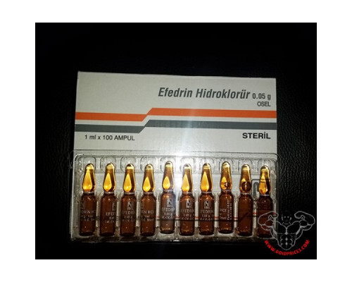 Ephedrin Osel 50mg 100 Ampullen