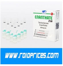 Generics Pharma Testosteron Enantat 250 mg 10 Ampere