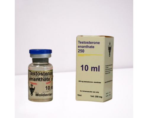 Testosterone enanthate 250 mg Moldavian Pharma