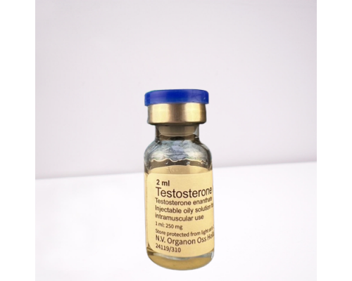 Testosterone Depo 250 mg Organon