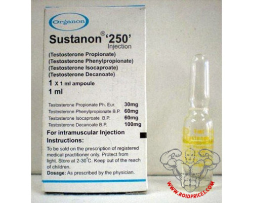 Sustanon 250 mg 1 Ampulle