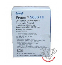 Pregnyl 5000 IE 1 Ampulle