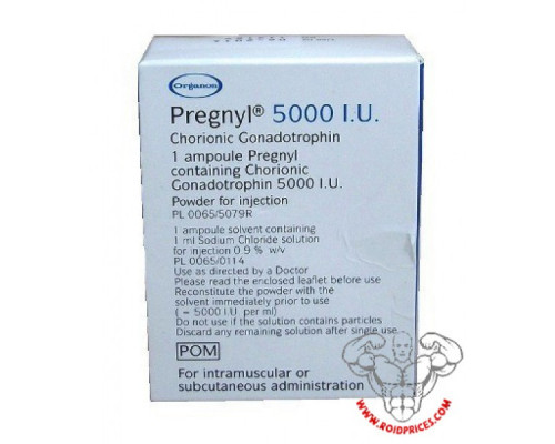 Pregnyl 5000 IE 1 Ampulle