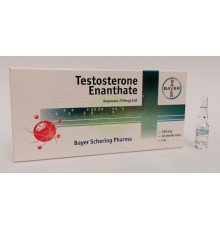 Testosterone Enanthate 250mg Bayer