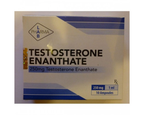 Testosterone Enanthate 250mg Pharma Lab