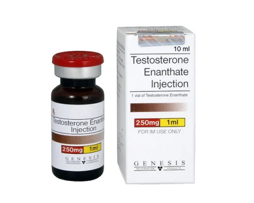 Testosterone Enanthate Injection 250mg Genesis