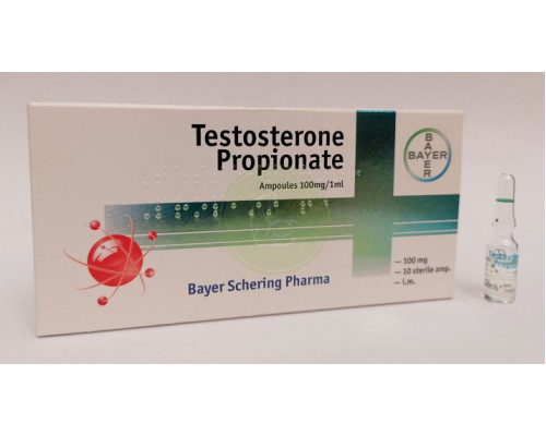 Testosterone Propionate 100mg Bayer