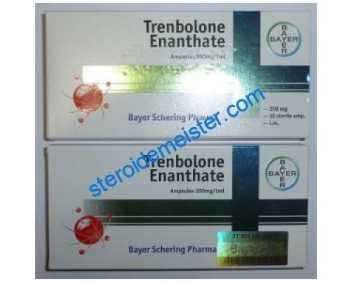 Trenbolone Enanthate 200mg Bayer