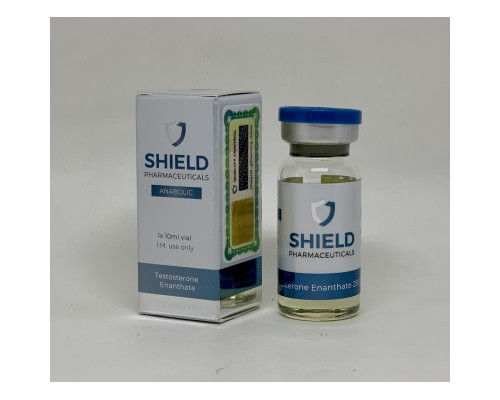 Testosterone Enanthate 250mg Shield Pharma