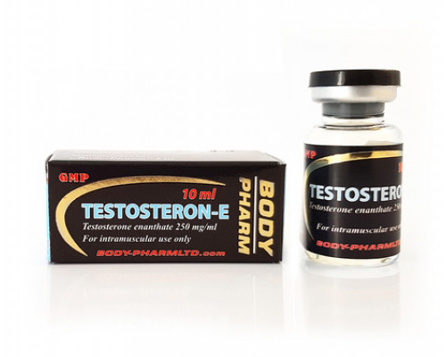 Testosteron-E 250mg BodyPharm