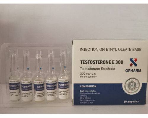 Testosterone E 300 QPharm