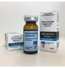 Testosterone Enantate 250mg Hilma Biocare